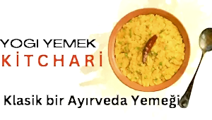 Kitchari, klasik bir Ayurveda yemeği